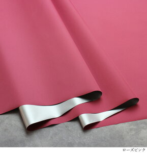 yő20OFFN[|z y10cmPʁz Ռ iC n iC ^t^ Vo[R[eBO H { n ( z 悯 ͂ TVF[h ^[v z˂ GRob