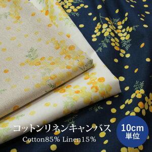 yX[p[Z[20OFFN[|z Rbgl LoX n ~U vg y10cmPʁz ( ȖLoX z ԕ t[vg F  nhCh | jy