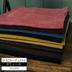 y10cmPʁz 8W  R[fC n n z R[V N  H~ m  ߂̐ 킢  [hy[1m܂Łz