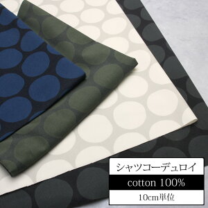 y10cmPʁzn z R[fC 21W VcR[fC _hbg vgi ׃R[ R[e hbg  _  VbN H~ m obO Xq | nhCh 