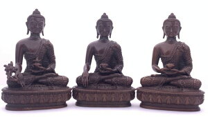 t@E/߉ޖ򕧁Eʌ@3_Zbg-AA