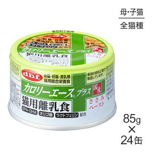 yő400~ItN[|vO擾zy85g×24ʁzfrtybg J[G[XvX LpH (LELbg)