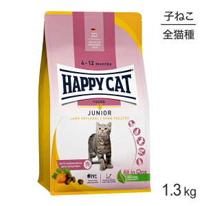 yő400~ItN[|vO擾zHAPPY CAT O WjA t@[|g[ qLp 1.3kg (LELbg) [Ki]