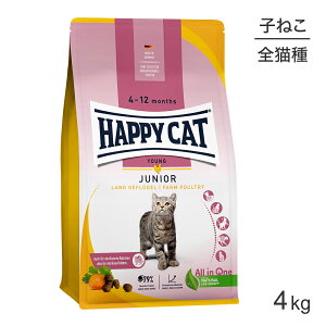 yő400~ItN[|vO擾zHAPPY CAT O WjA t@[|g[ qLp 4kg (LELbg) [Ki]