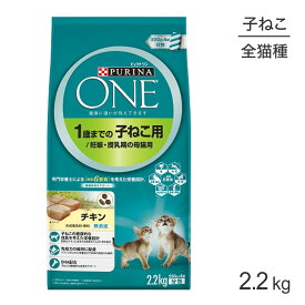 楽天市場 猫 キャットフード 1歳までの通販