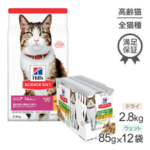 yő400~ItN[|vO擾zqY TCGXE_CGbg VjA AhoXh 14΁` `L hC 2.8kg + VjAg[^PA@\ 7΁` `L EFbg 85g×12 (LELb