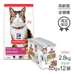 ő|Cg10{yvGg[zqY TCGXE_CGbg VjA AhoXh 14΁` `L hC 2.8kg + VjAg[^PA@\ 7΁` T[ EFbg 85g×12 (LELb