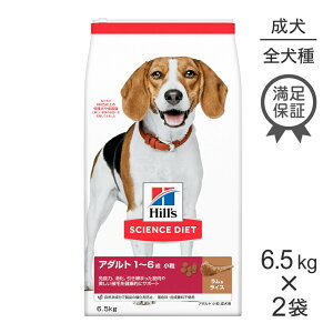 ő|Cg10{yvGg[zy6.5kg×2܁zqY TCGXE_CGbg A_g  1~6 p CX (EhbO)