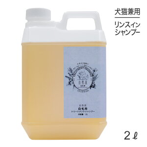 y1ő100%|CgvGg[zR g[ggVv[ їp 2L (Lp)