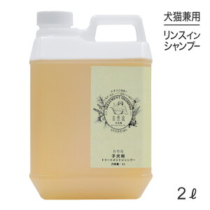 yő400~ItN[|vO擾zR g[ggVv[ qp 2L (Lp)