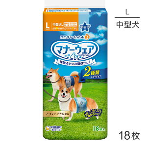 ő|Cg10{yvGg[zjE`[ }i[EFA j̎qp L `FbNE`FbN 18 (EhbO)