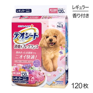 ő|Cg10{yvGg[zjE`[ fIV[g L&tOX t[V{̍ M[ ybgV[c 120 (EhbO)