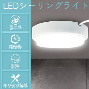 LED oX[Cg 20w V[OCg 20w  Ɩ EʏpCg 10 LED|[` ی^ ip65 hEhJ^ LEDV[OCg V䒼t^Eǒt^ 䏊 L  {I g