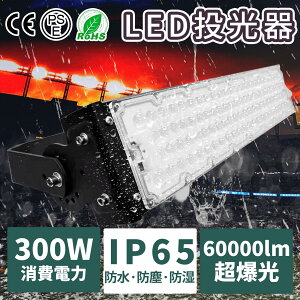   led O h 300W O Ɠ  LEDƓ LED F LED [NCg Ɩ Ə hJ px 