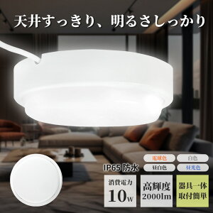 LED V[OCg oX[Cg 10W 2000lm V䒼t^ ǒt^ 4~6Kp IP65h hJ LED|[` ̌^ ی^  C gC Ɩ OƖ OȂ h ȃGl 