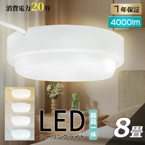 y1Nۏ؁zLEDoX[Cg  20W 4000lm V[OCg V䒼t^ ǒt^ IP65h hJ 6~8Kp LED|[` ̌^ ی^  C gC Ɩ OƖ OȂ 