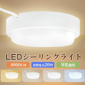 y[zLED oX[Cg V[OCg 20W 4000lm V䒼t^ ǒt^ IP65h hJ 6~8Kp LED|[` ̌^ ی^  C gC Ɩ OƖ OȂ h