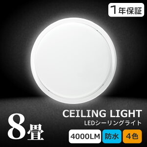 yVoIzLED oX[Cg ̌^ 20W 4000lm V[OCg V䒼t^ ǒt^ IP65h hJ 6~8Kp LED|[` ی^  C gC Ɩ OƖ OȂ