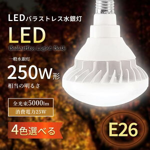y1Nۏ؁zLEDoXgXⓔ LEDd PAR38 E26 d25W Px5000lm LEDoXgXv ⓔLED֌ ⓔ LEDX|bgCg LEDr[d LEDV䓔 tv 