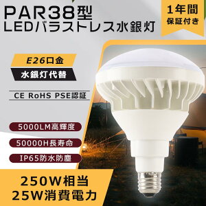 PAR38 25W 5000lm LED F r[d LEDr[v tv oXgXⓔ X|bgLEDCg VpƖ LEDu ⓔ 250`ⓔ邳 IP65h EOp td