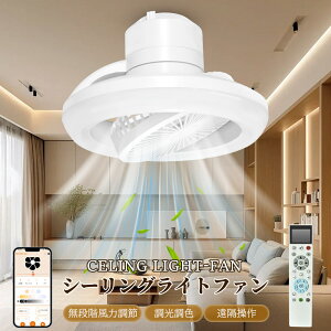 V[O t@Cg 12 V@ Cgt U V[Ot@Cg V[OCg F iKʒ Vt@ DC[^[ É 铔 ^C}[ tR