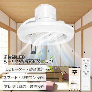 V[Ot@Cg V[Ot@ LED V[OCg 6 8 F V@ C ݂艺 T[L[^[tled ^ DC[^[ ^C}[ R 蓮px 