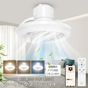 T[L[^[ V[OCg led V[Ot@Cg alexaΉ @ Cz C iKF t]؂ւ DC[^[@ H^ Hsv g[ ȃGl 