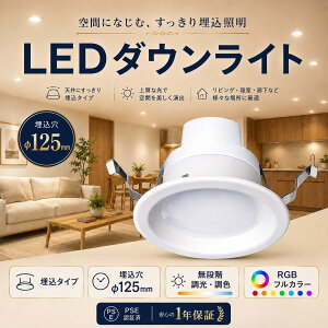 �y4�Z�b�g�zled�_�E�����C�g125�� �V�䖄���^ led �_�E�����C�g �d���F �����Ή� �����F �����F RGB�t���J���[ �X�}�[�gLED�d�� �����R���t�� �A�v���Ή� ���^ �y�� �ȃG�l 50000H������ �������[ 