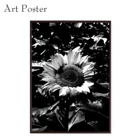 ポスター フレーム付き モダン モノクロ 花 向日葵 飾る インテリア a2 壁面 おしゃれ 雑貨 絵 大きい サイズ 写真