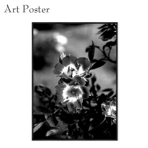 A[g|X^[ mN  o t[fUC Ǌ| t[t _ ȃ|X^[  a2 A[gpl 傫 ǖ tHgA[g CeAʐ^ G