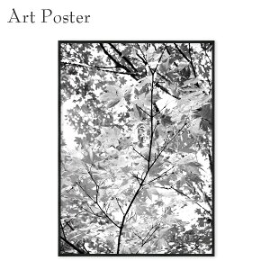 A[g|X^[  a2 gt _  fUC Ǌ| i CeA fBXvC  傫TCY G ʐ^ plA[g t[t