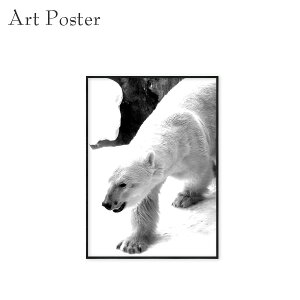 A[gpl mN VN} a3 z   |X^[ CeA mg[  G