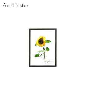 アートパネル ひまわり a4 フラワー ウォールアート デザイン 壁飾り 花 ポスター 贈り物