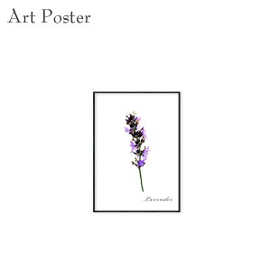 A[gpl  a4 x_[ CeA t[A[g  _ tHgt[ |X^[