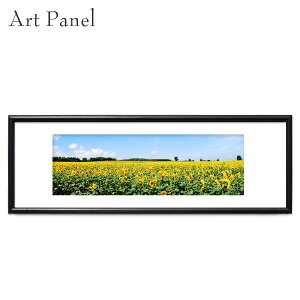 A[gpl  Ђ܂  CeA i iF _  Ǌ| |X^[ z   ʐ^