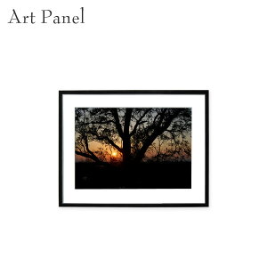 [ CeAANZT[   i tHgt[ A[gt[ ^yXg[ _A[g ǖ 