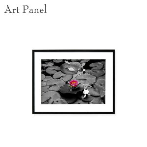 @ sN t[A[g Ǐ fUC  CeA A[gpl |X^[ʐ^  rO ԏ  t[t