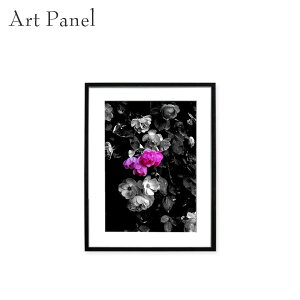 oA[g Ǌ| t[pl KN fUCA[g t[t ԏ A[g ʐ^ ǖ G  CeA