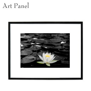 A[gpl  @ _   ǖ   ʐ^ CeA A[g Z  G