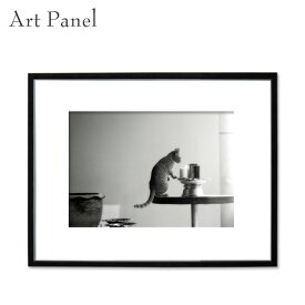 アートパネル モノトーン ネコ 動物 壁掛け インテリア 写真 ディスプレイ 飾り物 フォトパネル アートボード