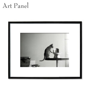 A[gpl mg[ lR  Ǌ| CeA ʐ^ fBXvC 蕨 tHgpl A[g{[h