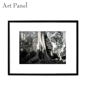 A[gpl mN AR[   i CeA _ t[t ʐ^ Ǌ| A[g