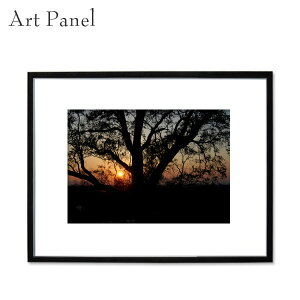 ǃA[g z R CeA ANZT[ OtBbN p |p _A[g IuWF M[  G