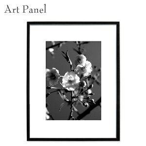 mNA[g pl _  z Ǌ| CeA ʐ^ ԃfBXvC A[g t[ IuWF   G