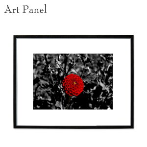 t[pl  KN CeA  _ A[gpl  Ǌ| fBXvC ǖ