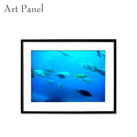 海 アート 写真 パネル フレーム付 水中 魚 風景 モダン 装飾 飾り 壁掛け インテリア 絵画 ポスター フォト