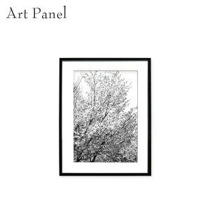 |X^[ mN    t[t mg[ CeA A[g|X^[  EH[A[g Ǐ