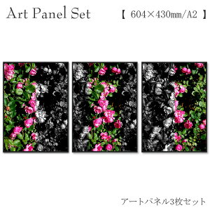 A[gpl  _  Zbg KN t[ fUC A[g |X^[ a2  3 3A CeA Ǌ|  G ʐ^ t[t