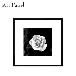 _A[g CeA  KN G p |p mN  ǖ   mg[ ` pl ʐ^ EH[A[g