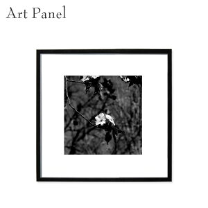 XNGApl mN   A[g  _  ` CeA  Ǌ|  X  Z   tHgpl G |X^[